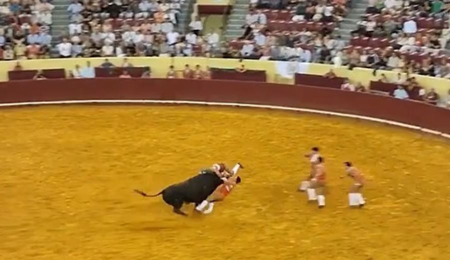 tavros_-_tavromaxos2.jpg