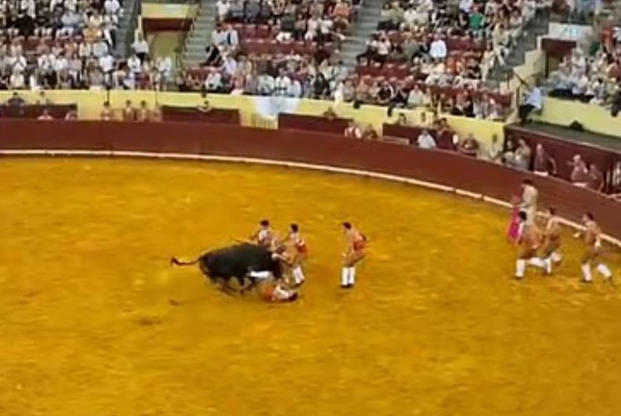 tavros_-_tavromaxos3.jpg