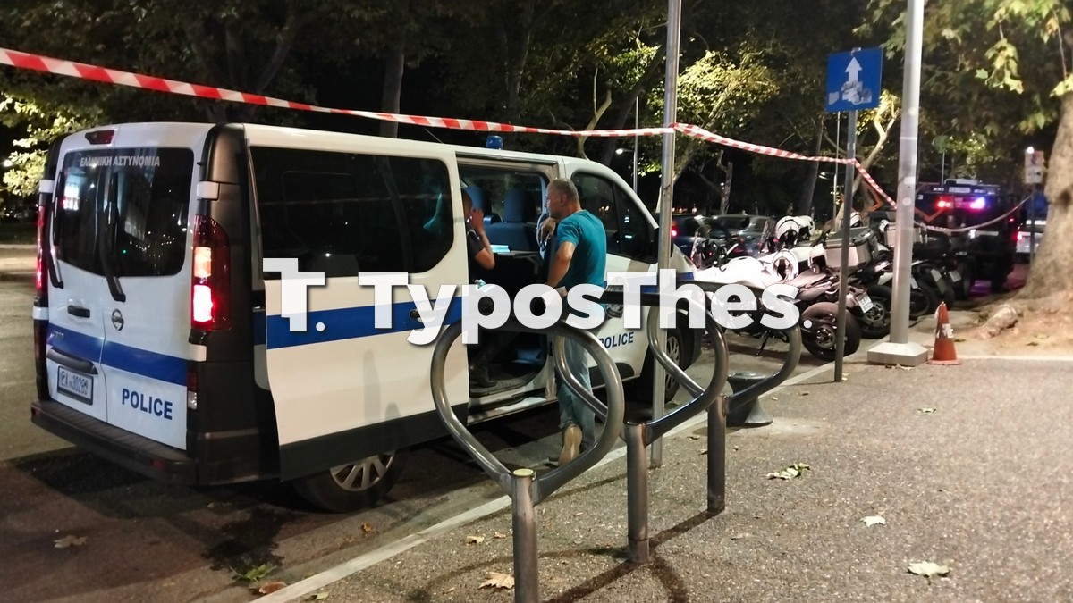 troxaia_3.jpg