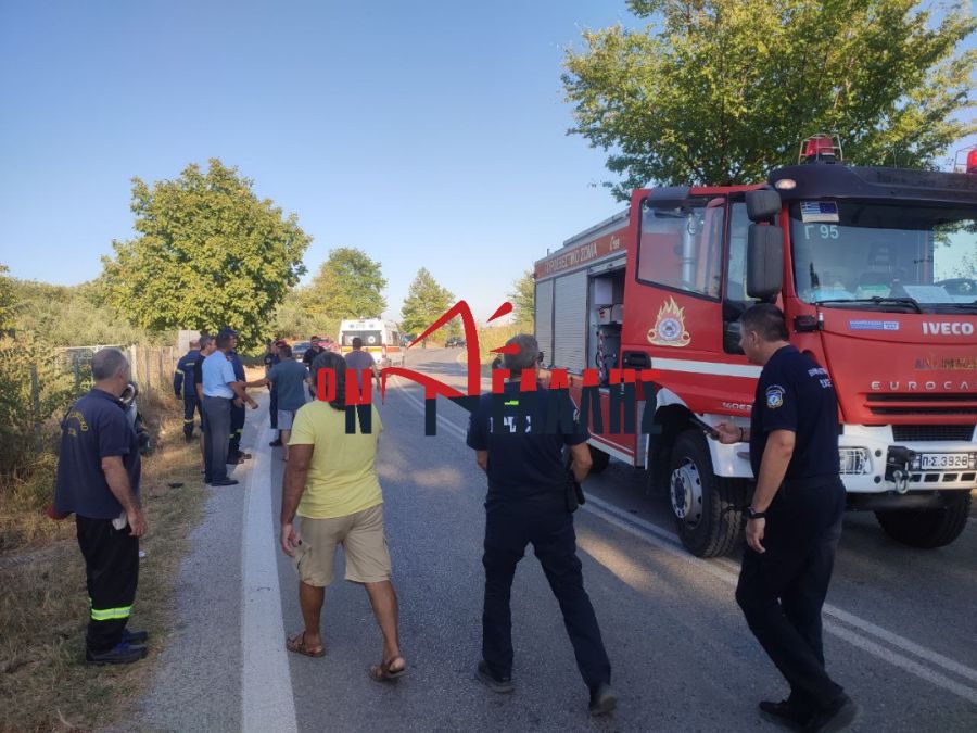 troxaio_katerini2.jpg