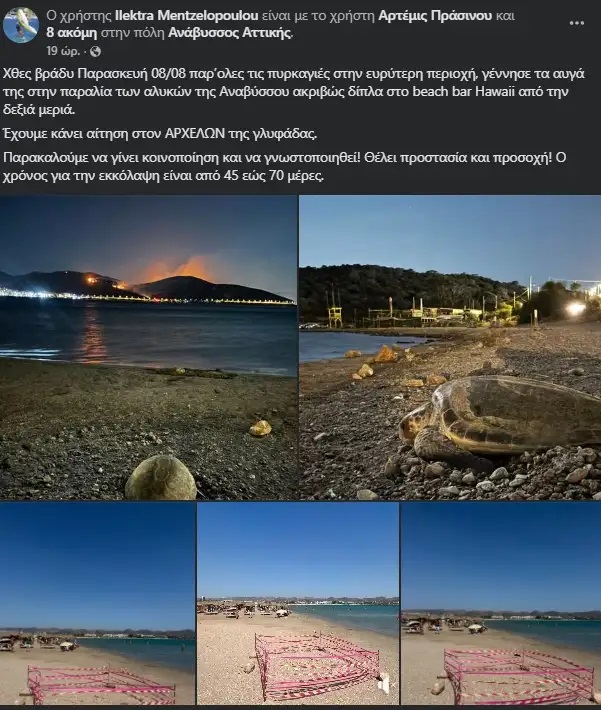 xelwna-anavissos1.jpg
