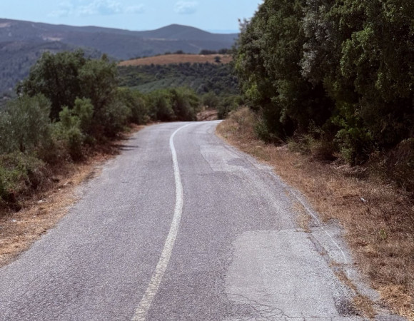 dromos4-1.jpg