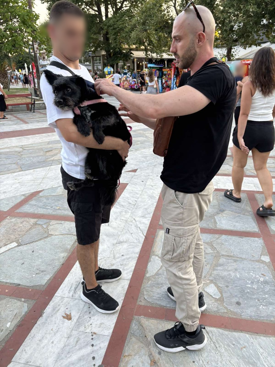 elegxos_skylos.jpg