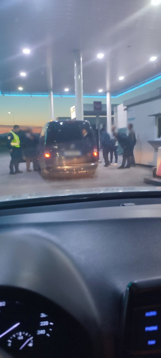 peirates_taxi_3.jpg