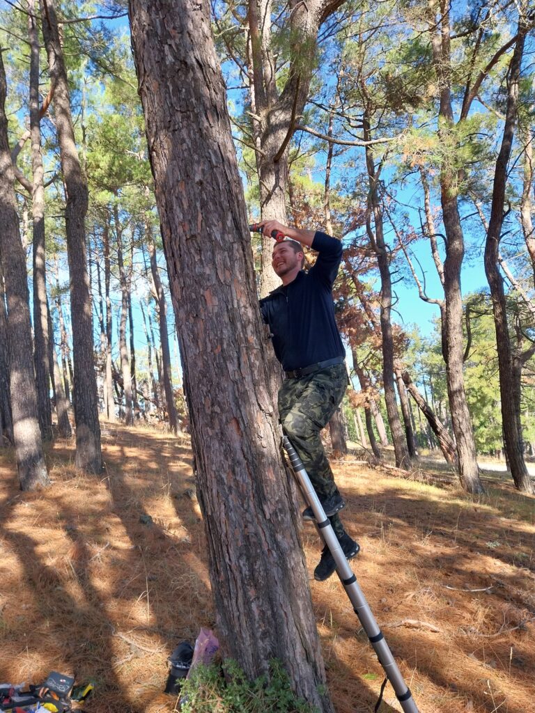 thermi.jpg