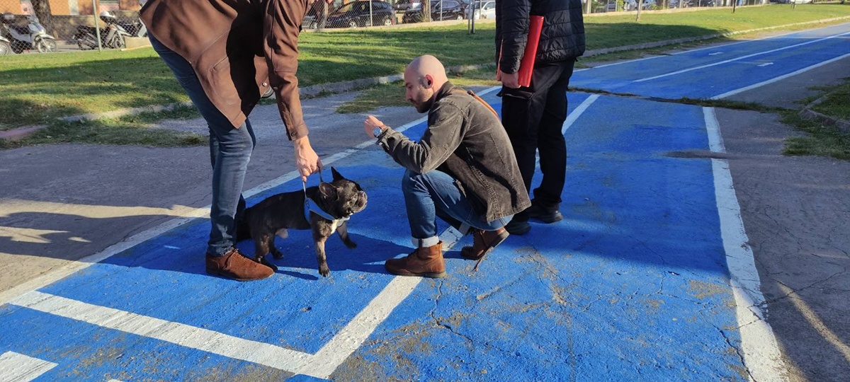 2025-11-04_foto_zoa_1.jpg 2025-11-04_foto_zoa_1.jpg