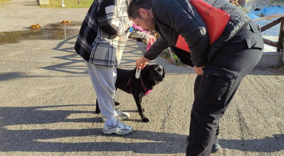 2025-11-04_foto_zoa_2.jpg 2025-11-04_foto_zoa_2.jpg