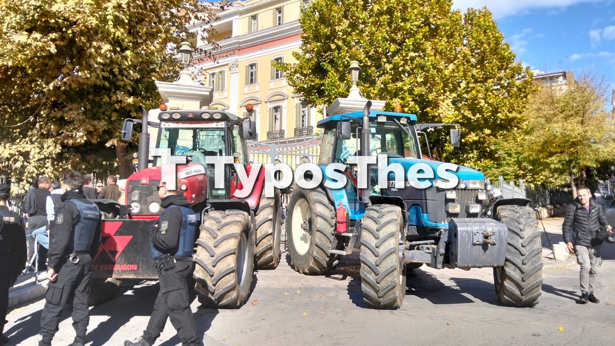 agrotes-ymath_2.jpg