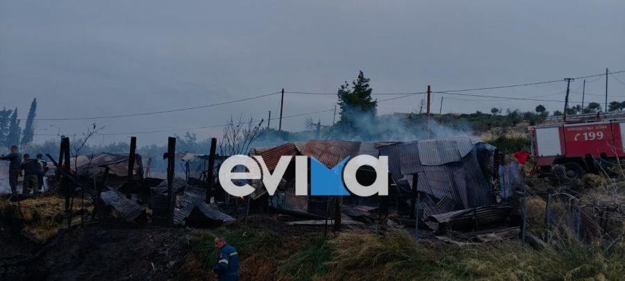 evia_mantri_fotia2.jpg