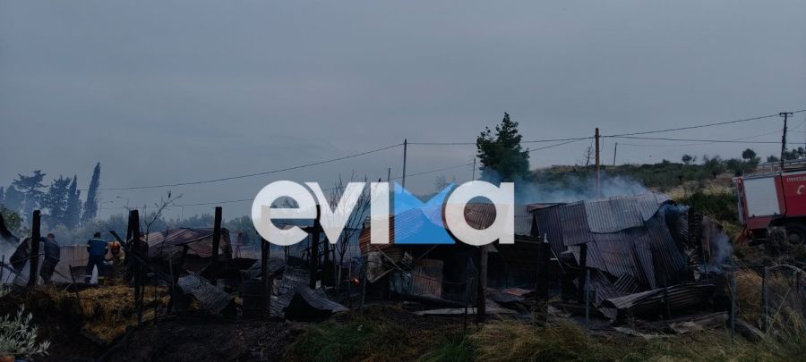 evia_mantri_fotia4.jpg