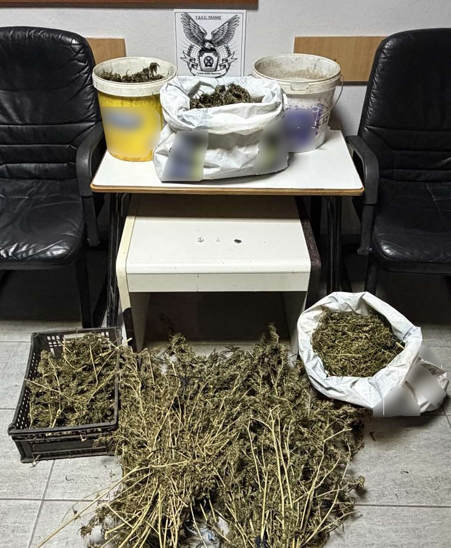 katashesi_kannabis_tdee_pellas.jpg