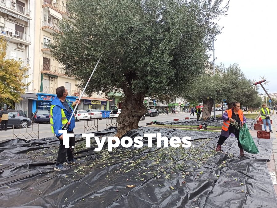 mazema_elias2.jpg