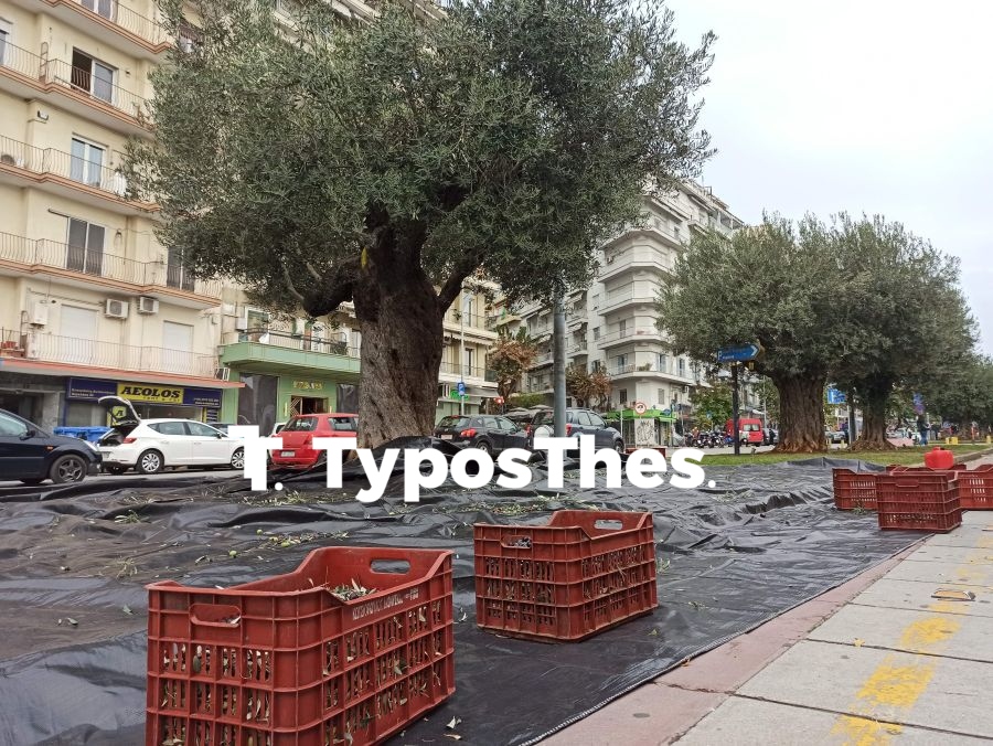mazema_elias3.jpg