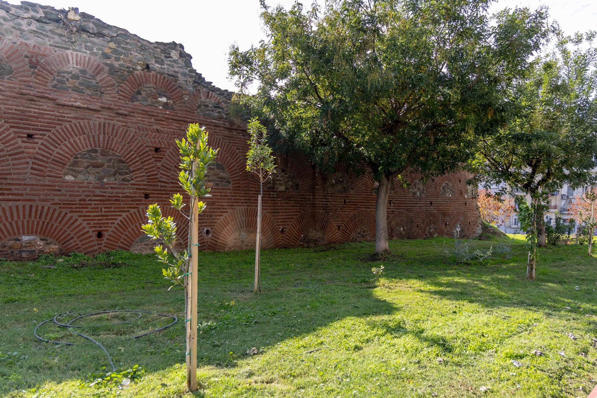 plateia1.jpg