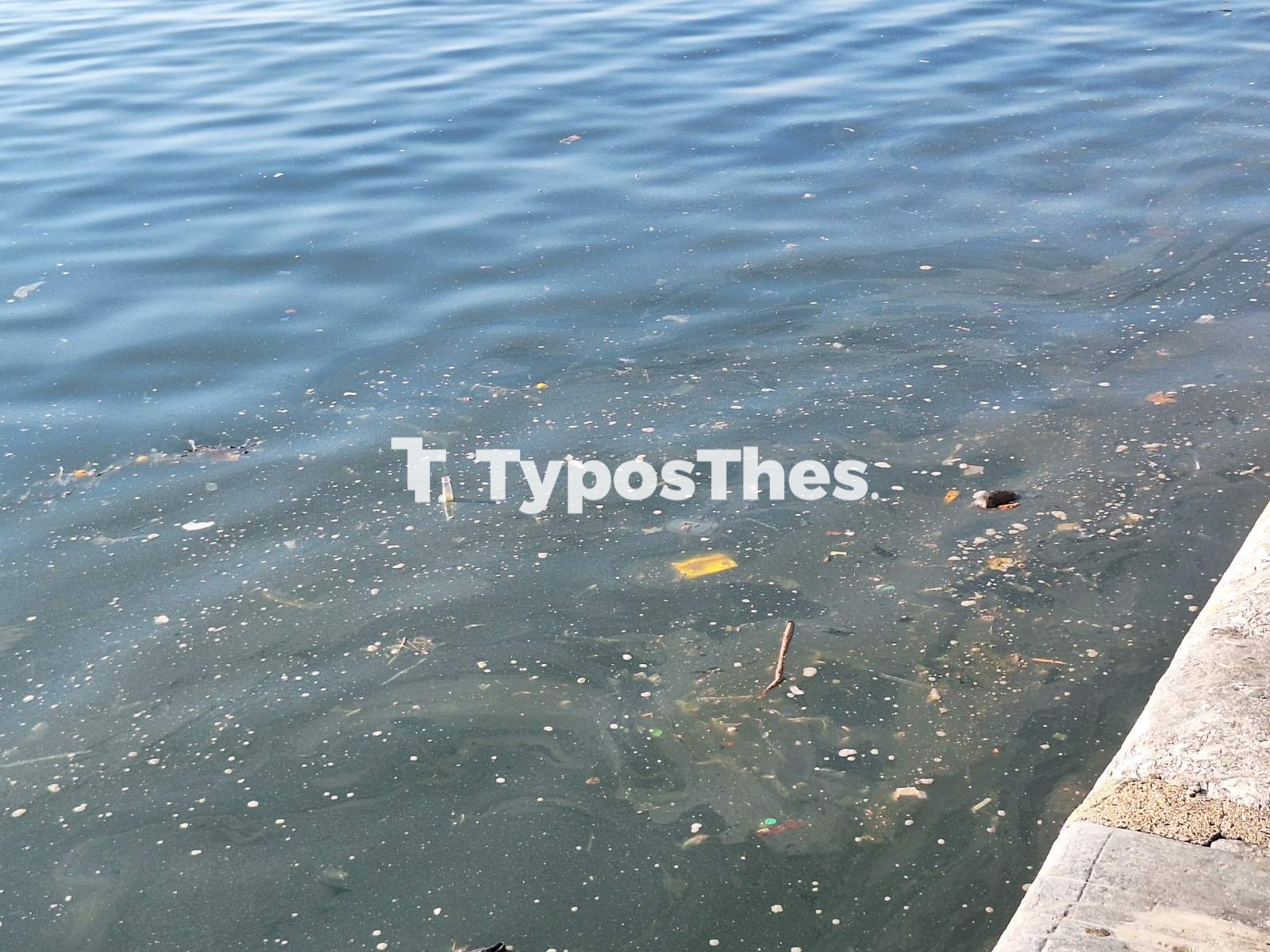 pontikia-thermaikos1.jpg pontikia-thermaikos1.jpg