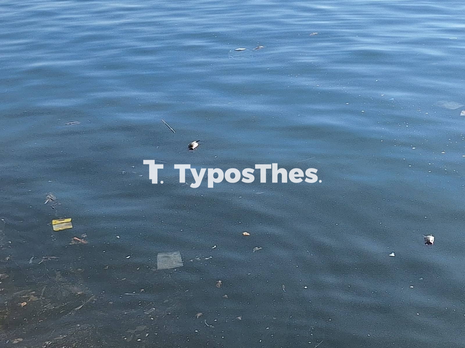 pontikia-thermaikos3.jpg pontikia-thermaikos3.jpg