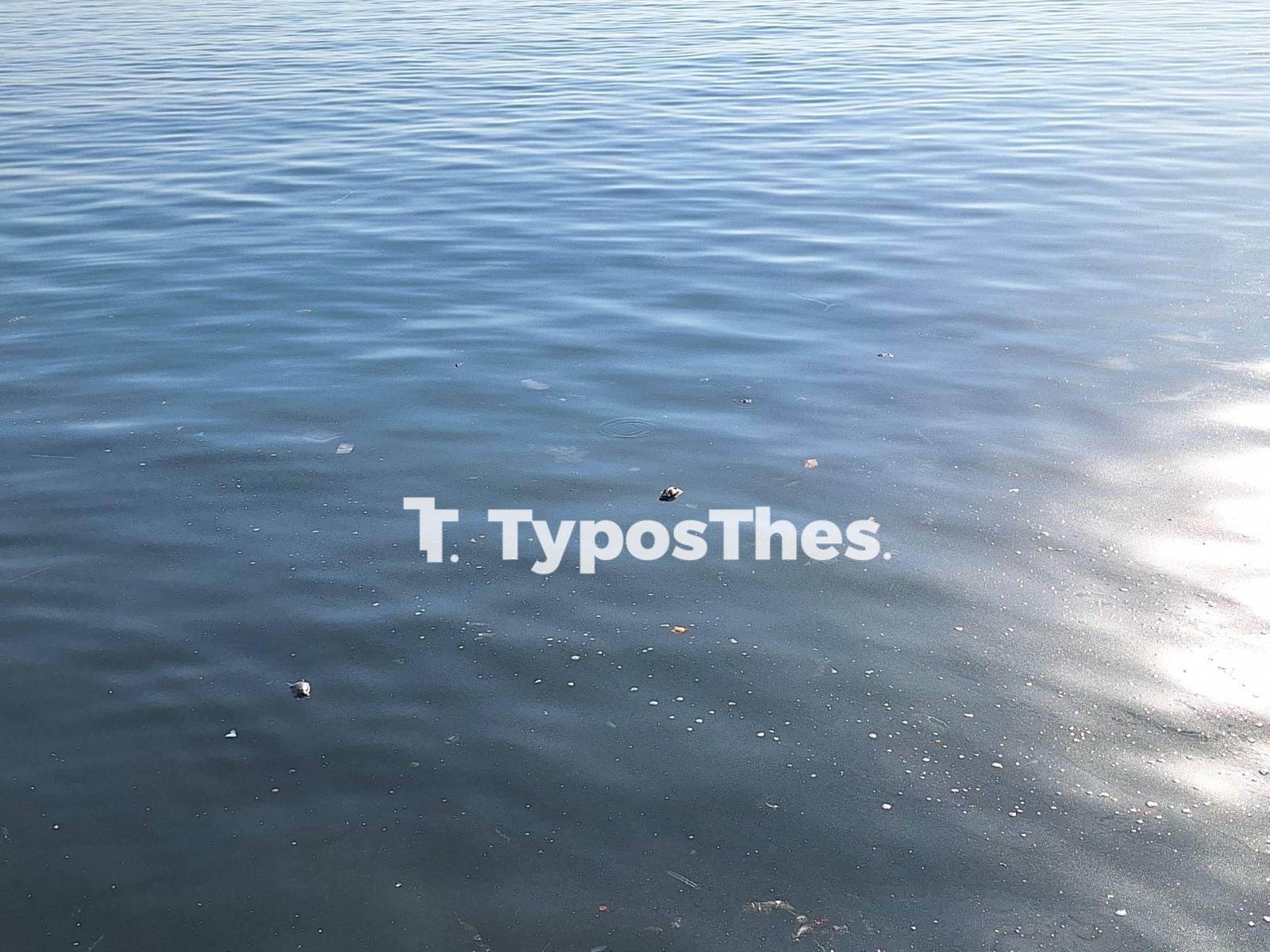 pontikia-thermaikos4.jpg pontikia-thermaikos4.jpg