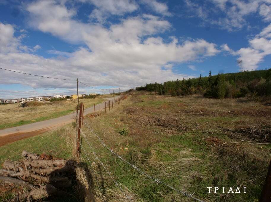 triadi_1.jpg