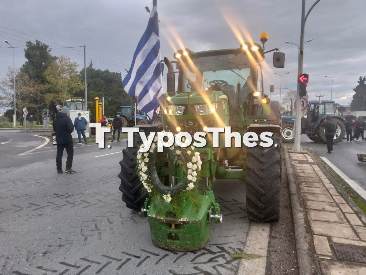 agrotes-prasinafanaria_4.jpg