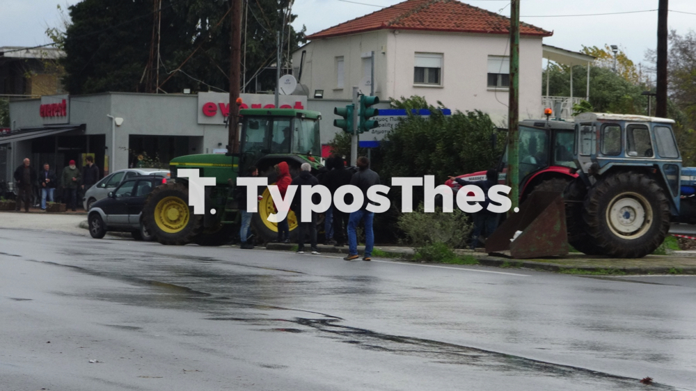 agrotes_prasina_fanaria_1.jpg