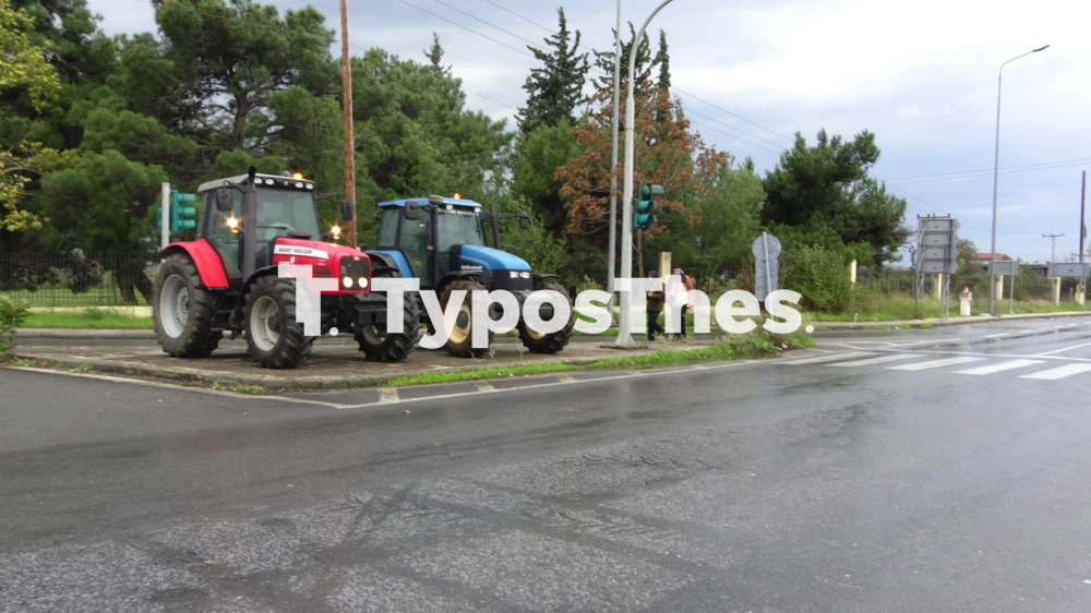 agrotes_prasina_fanaria_6.jpg