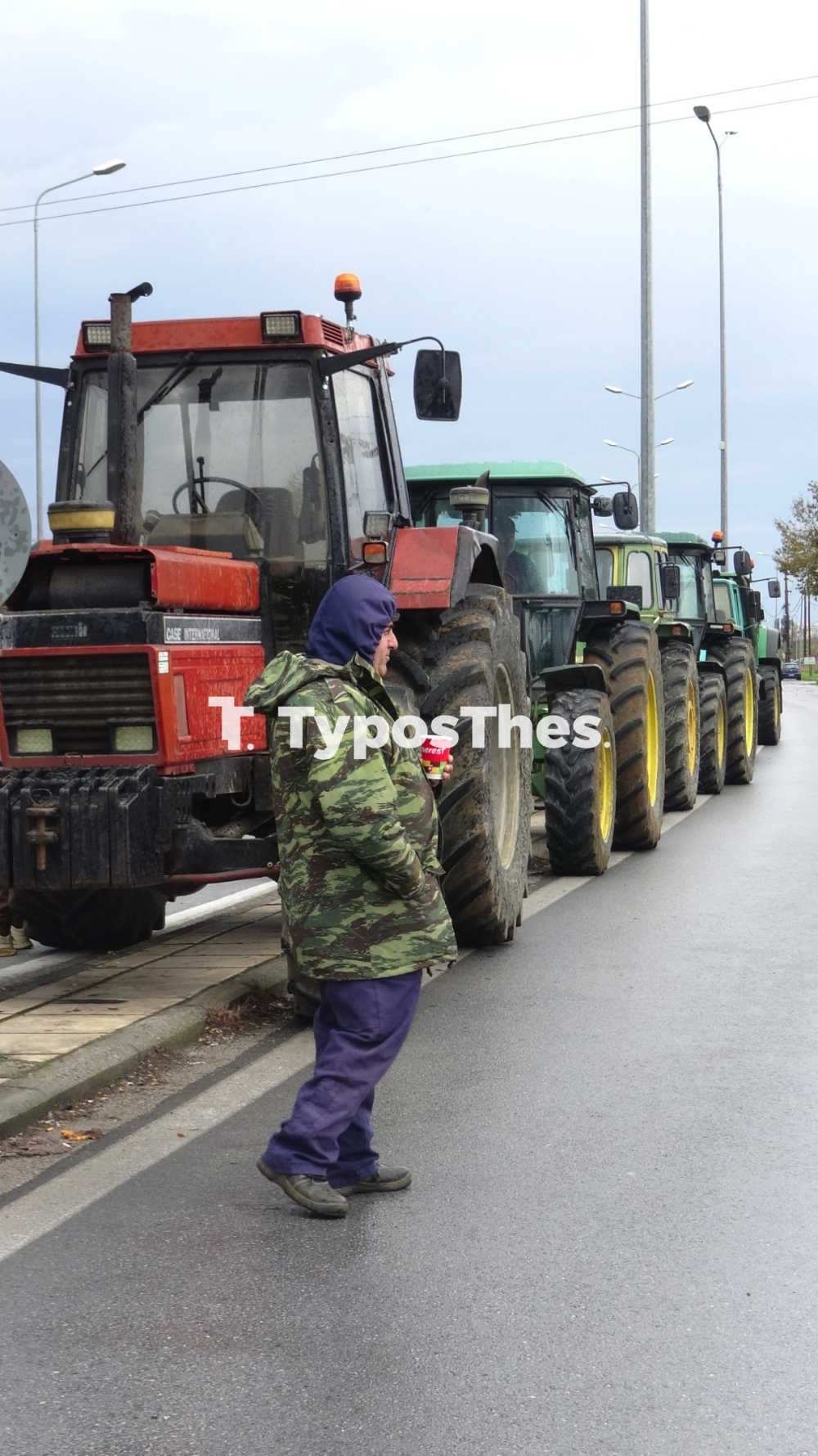 agrotes_prasina_fanaria_8.jpg