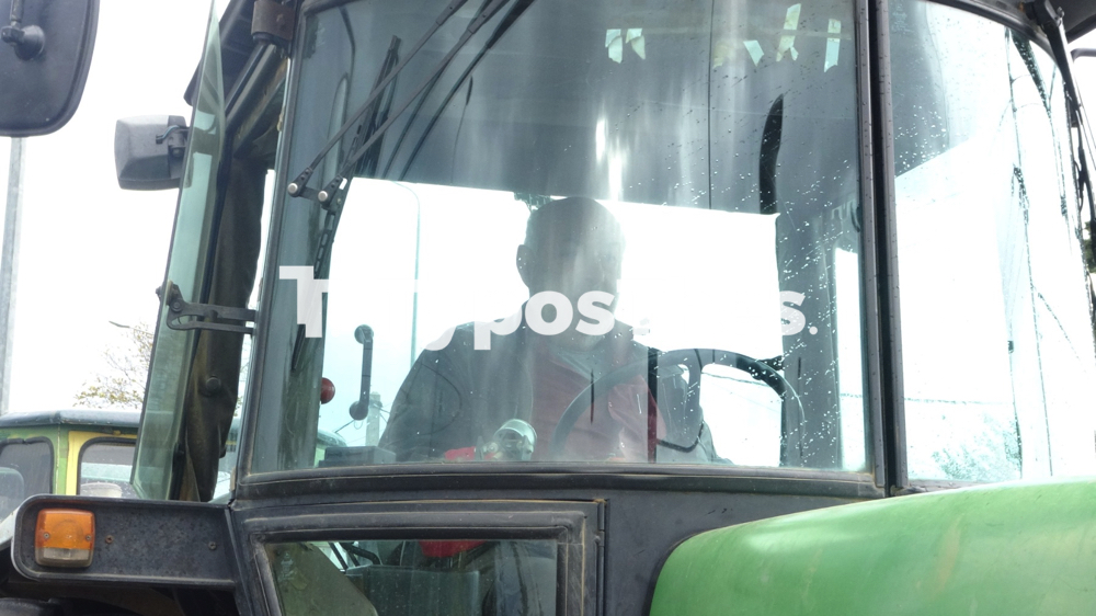 agrotes_prasina_fanaria_9.jpg