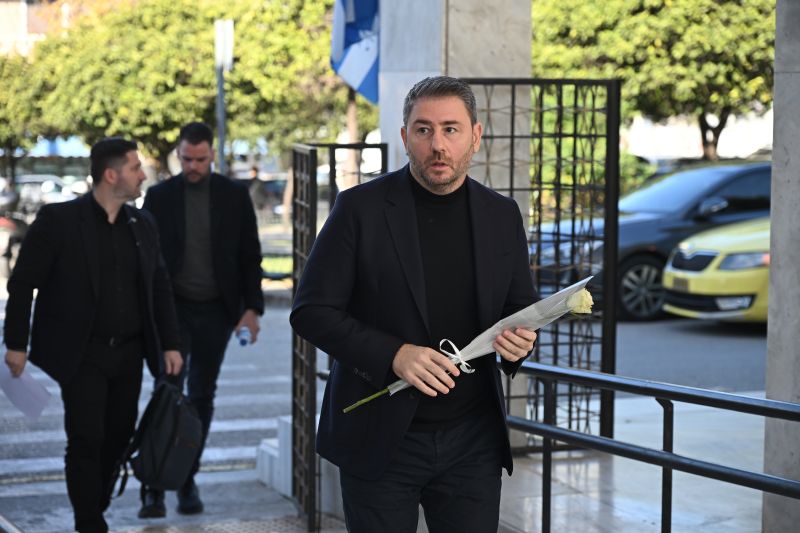 androulakis_sylva_akrita.jpg