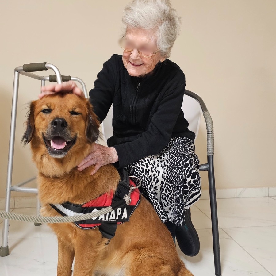 dog_therapy5.jpg