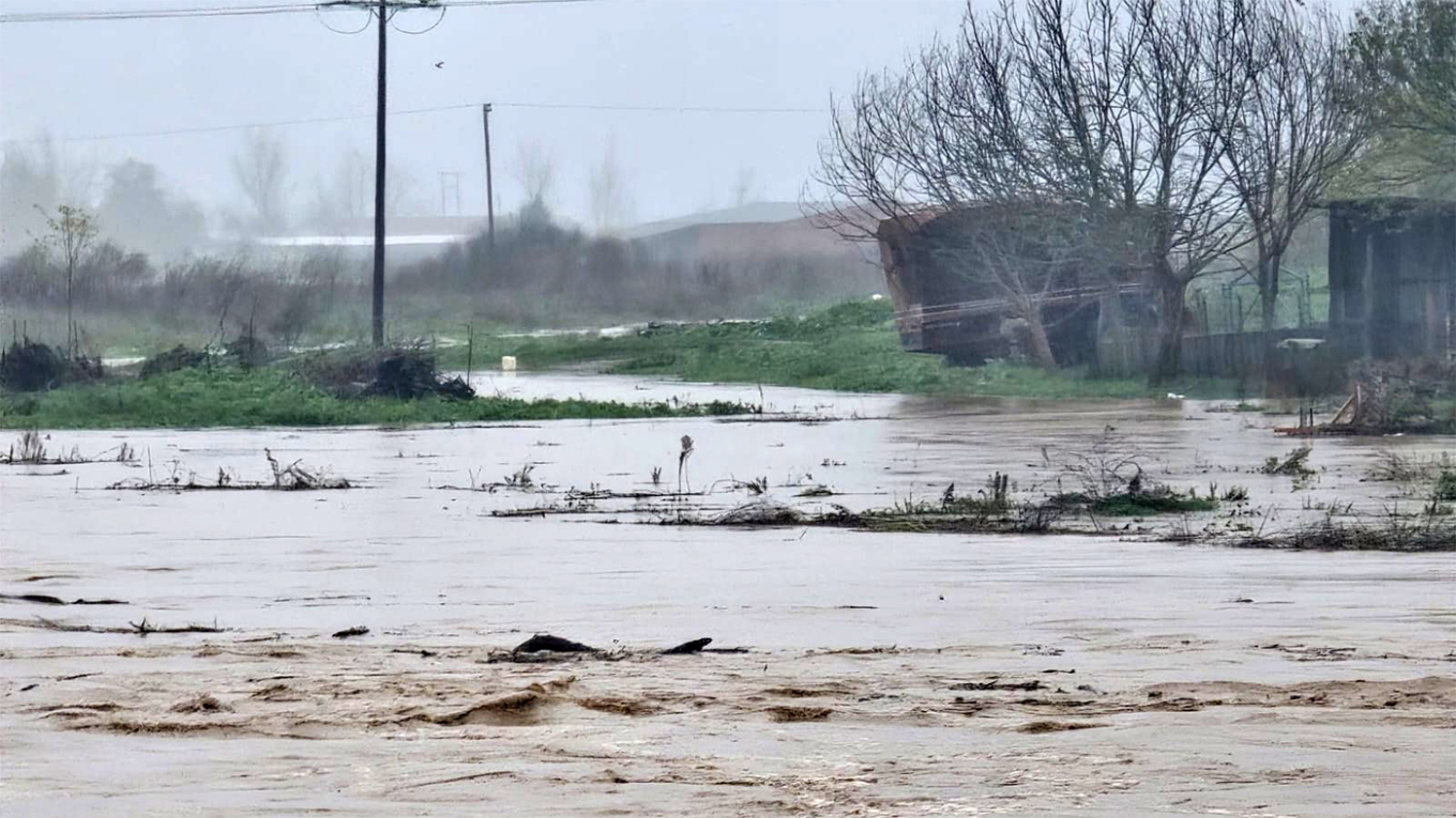 enipeas-2.jpg enipeas-2.jpg