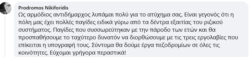 chrysidou-nikiforidis.png