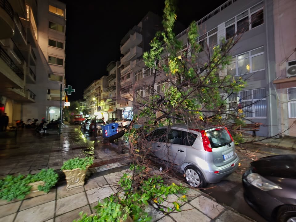 dentra-alexandroupoli.jpg