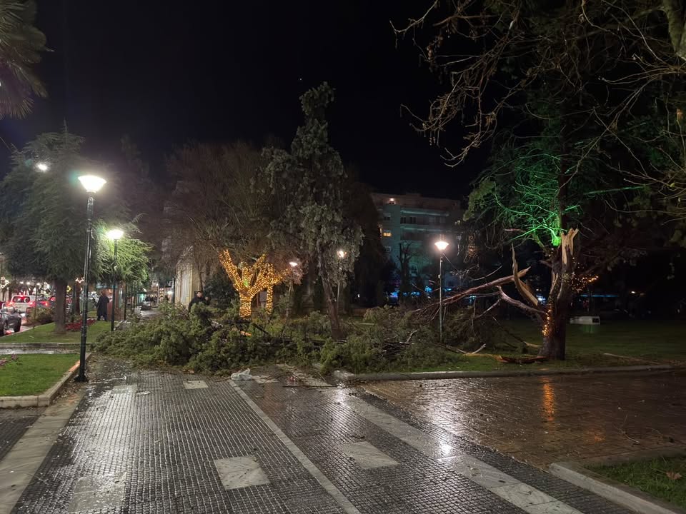 dentro-alexandroupoli.jpg