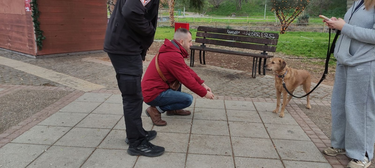 elegxoi_katoikidia_1.jpg