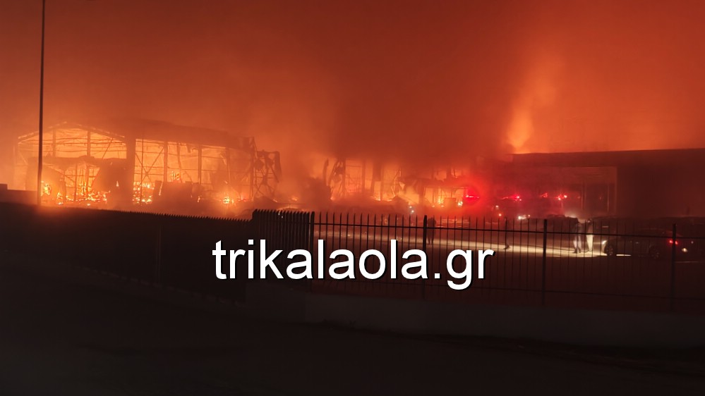 fotia_ergostasio_trikala_1.jpg