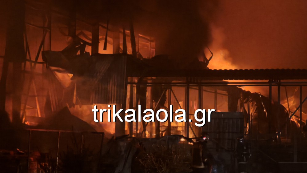 fotia_ergostasio_trikala_5.jpg