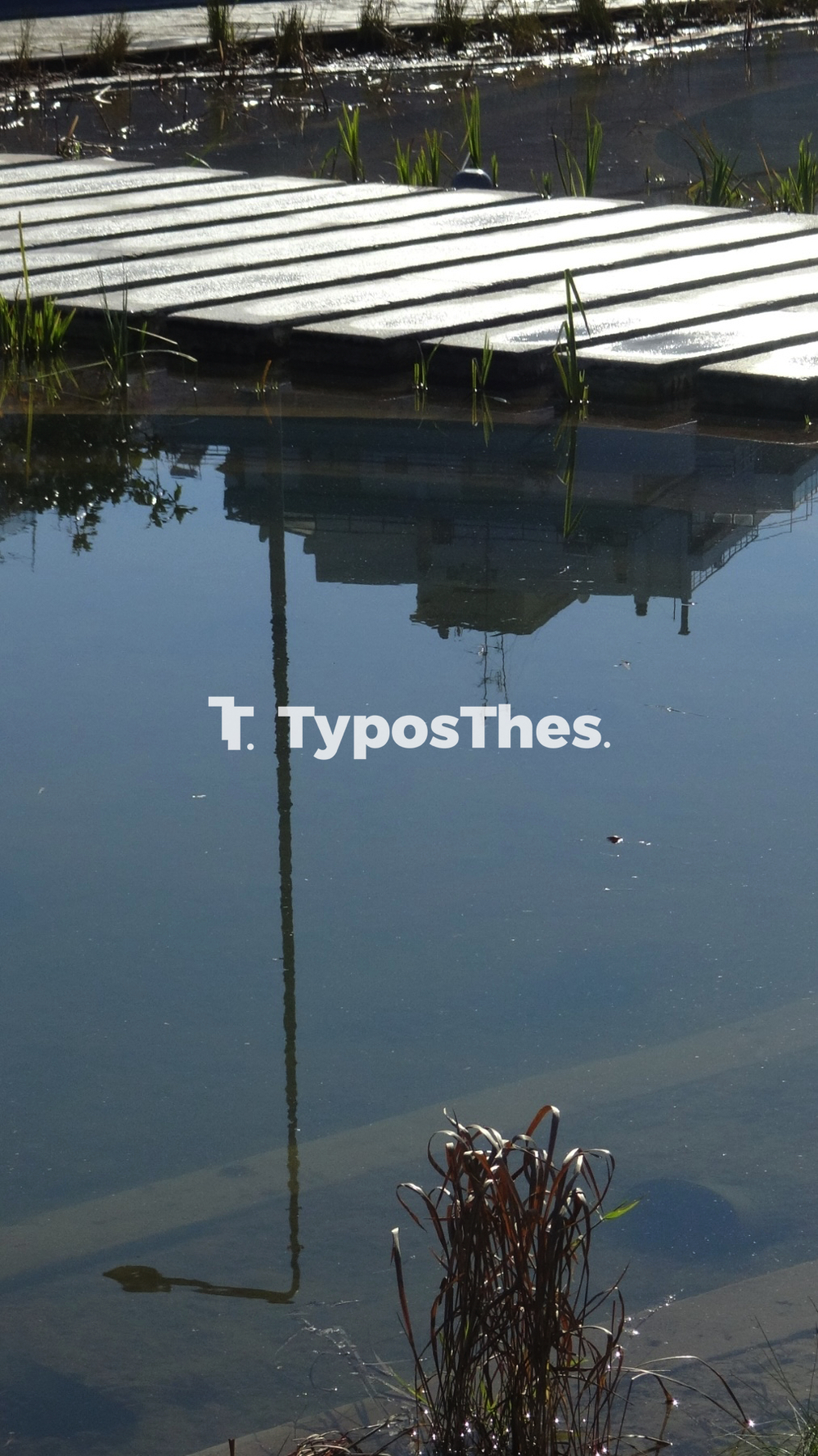iaponikos_kipos_nerou_12.jpg