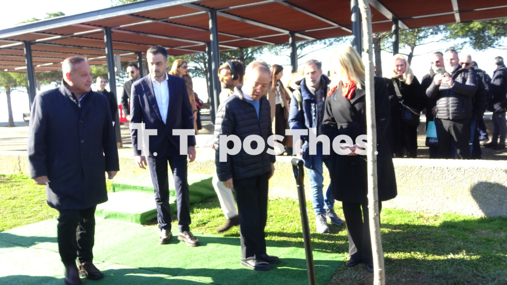 iaponikos_kipos_nerou_7.jpg