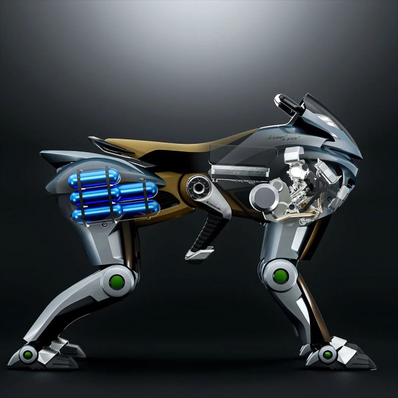 rompotalogo_kawasaki3.jpg