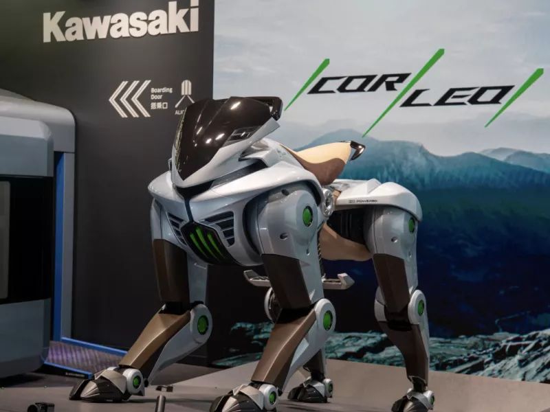 rompotalogo_kawasaki4.jpg