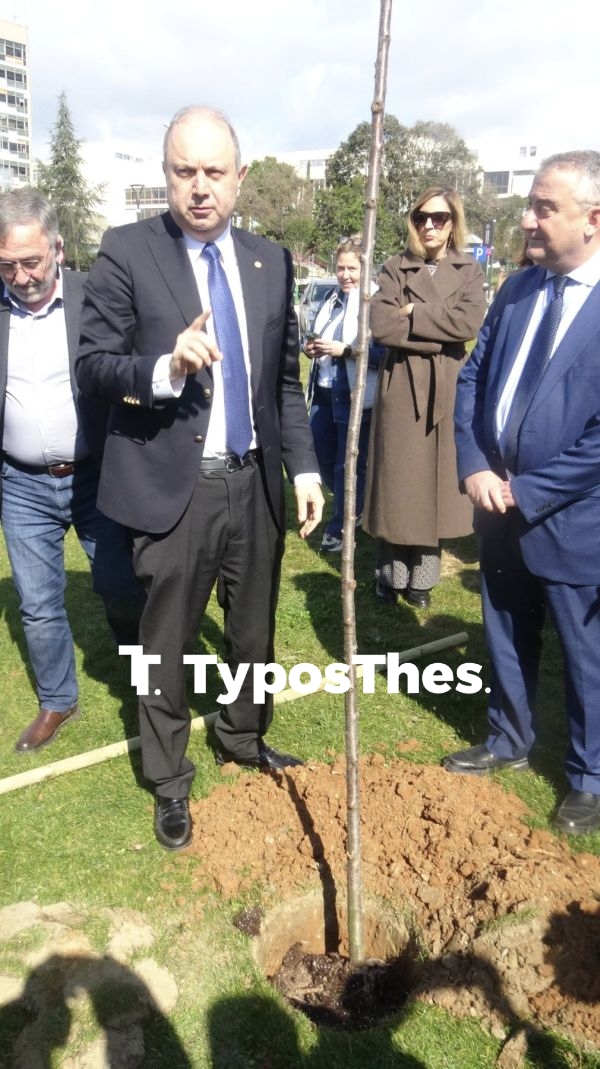 dendrofyteusi_apth7.jpg