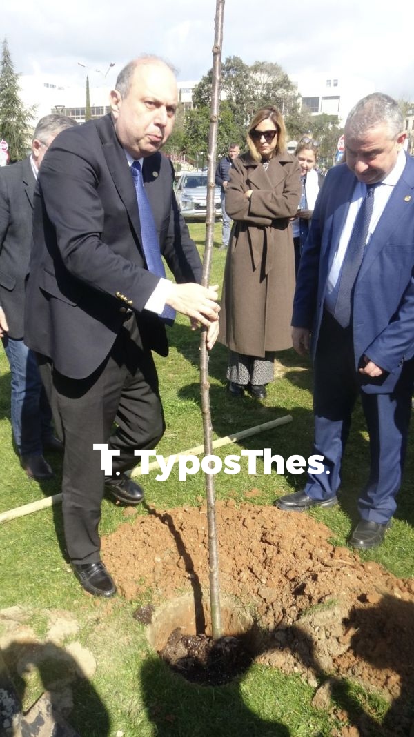 dendrofyteusi_apth8.jpg
