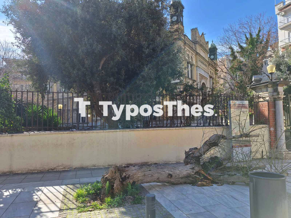 dentro_geni_tzami_3.jpg