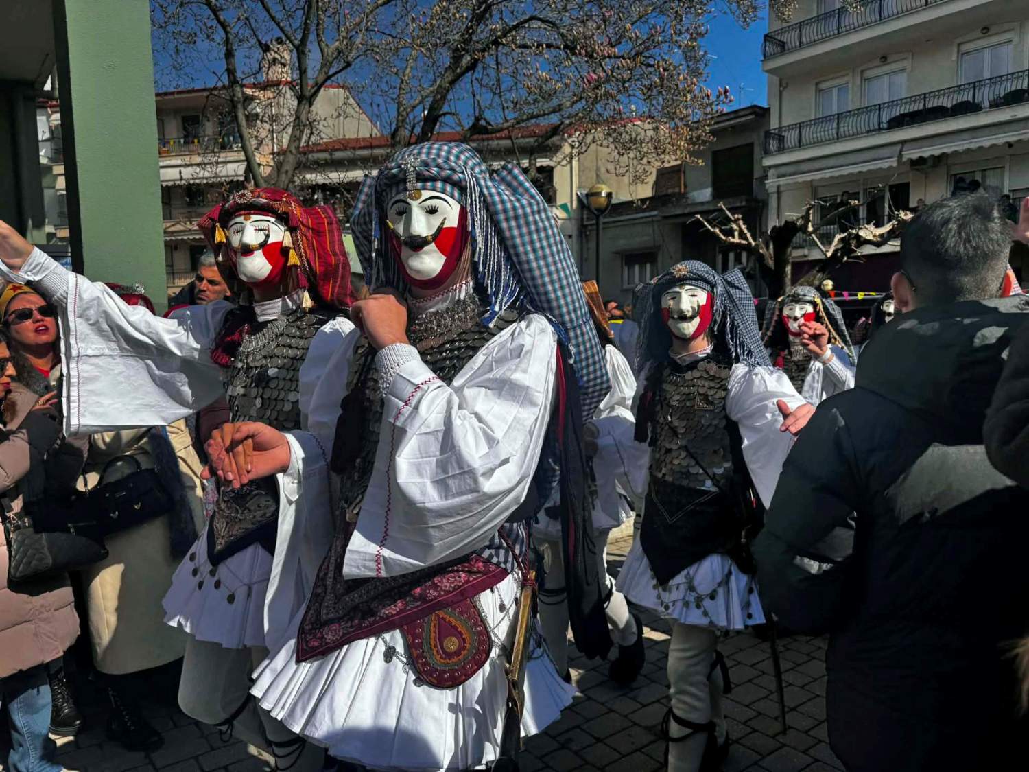 naousa-genitsaroi-mpoules2.jpg