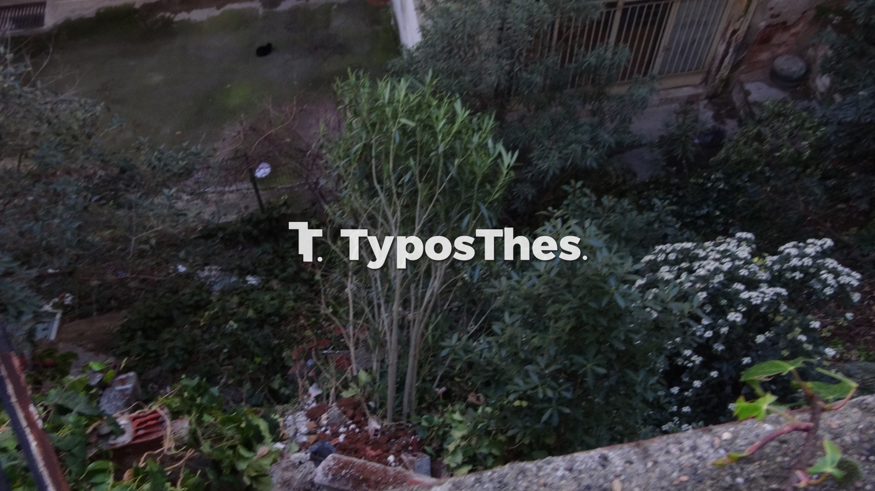 sykies-katolisthisi.jpg