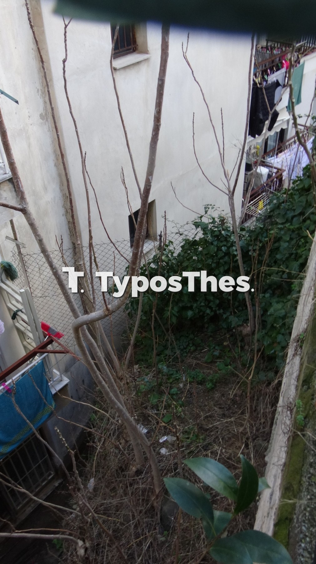 sykies-katolisthisi_4.jpg