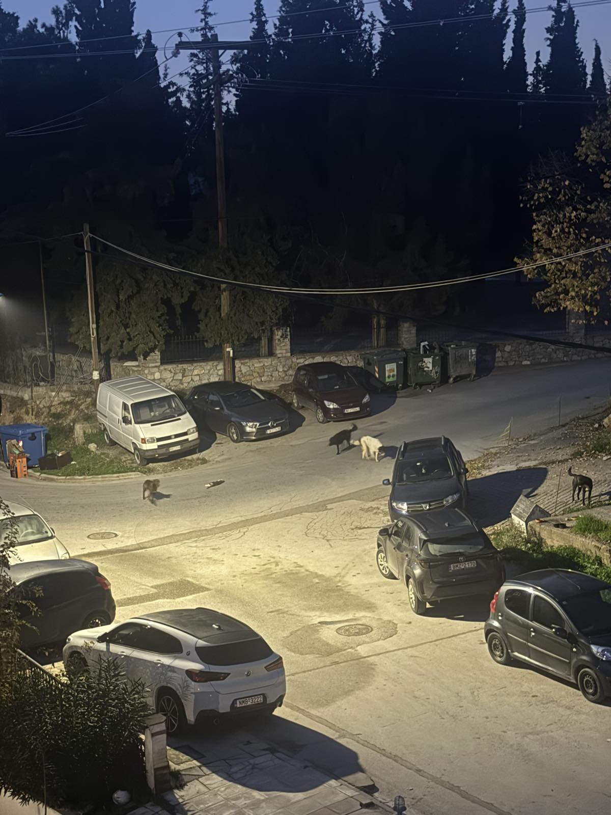 17dec_ageli_me_gata_nekri.jpg