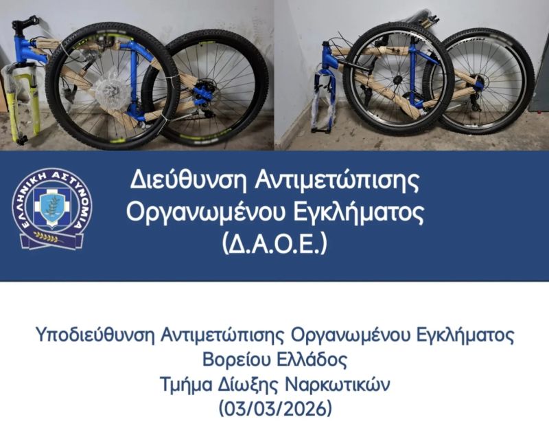 astynomia_dendropotamos.jpg