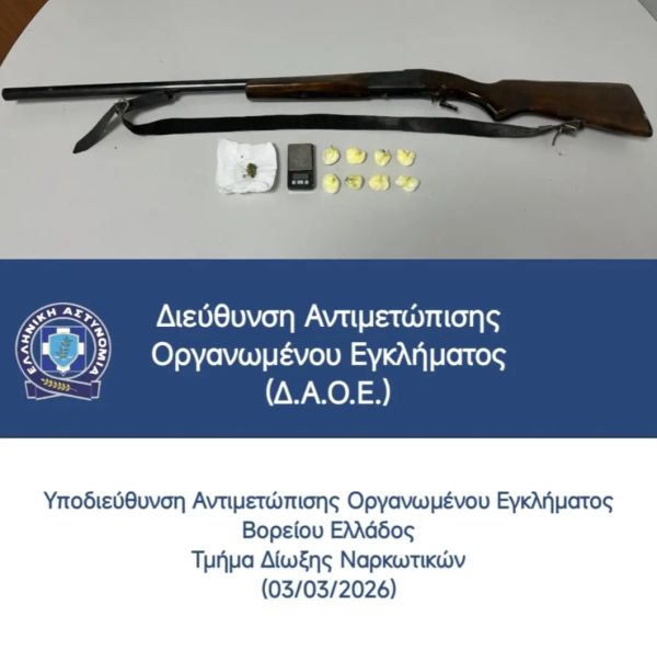 astynomia_dendropotamos2.jpg