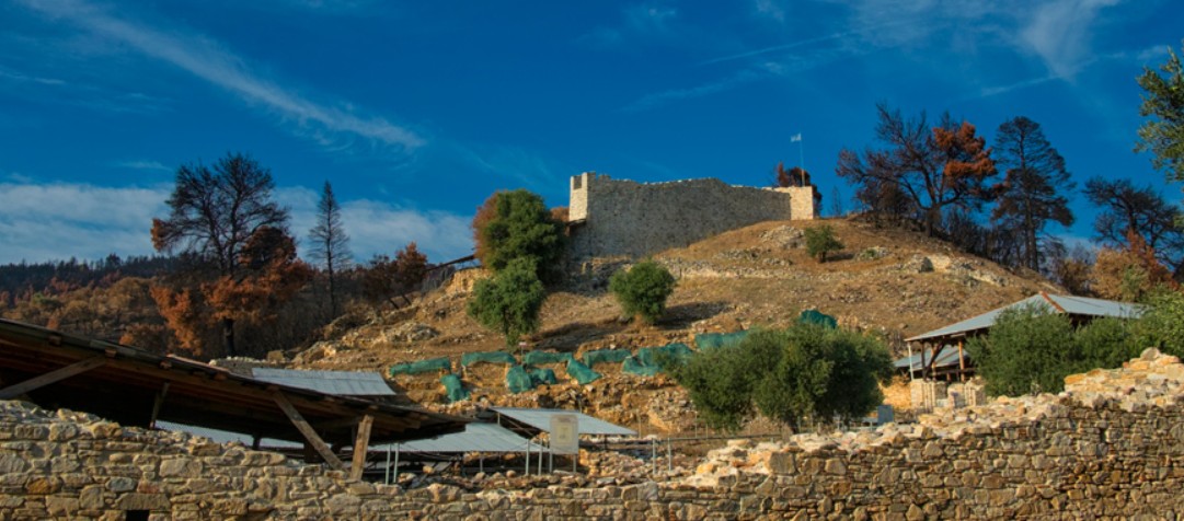 moni_zygoy.jpg